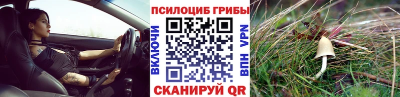 где купить наркотик  Пенза  Галлюциногенные грибы MAGIC MUSHROOMS 